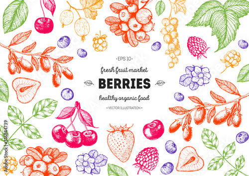Berries hand drawn, vector illustration frame. Hand drawn sketch illustration with goji berries, cranberry, cloudberry, cherry, raspberry, currant, strawberry. Food design template with berries
