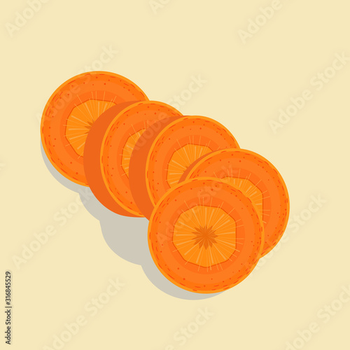 Pieces of carrot. Isolated Vector Illustration.