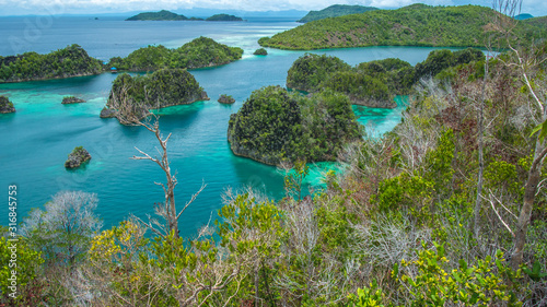 Painemo Island, Blue Lagoon, Raja Ampat, West Papua, Indonesia