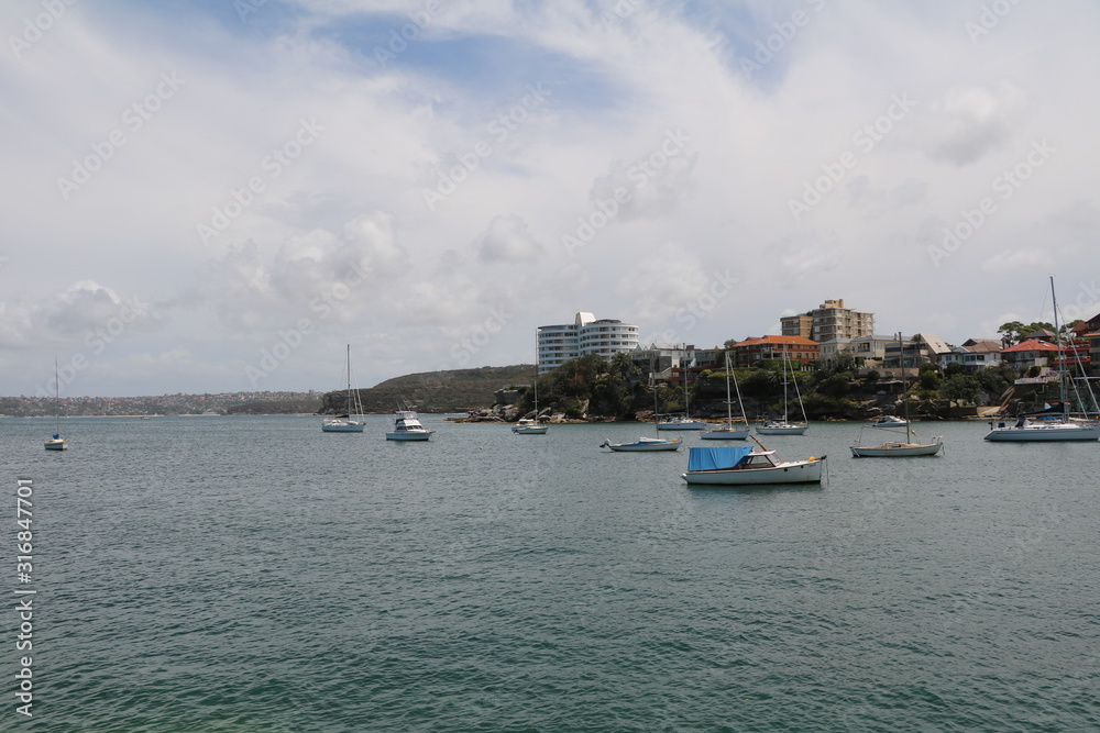 Fototapeta premium Little Manly Beach in Sydney, New Soth Wales Australia