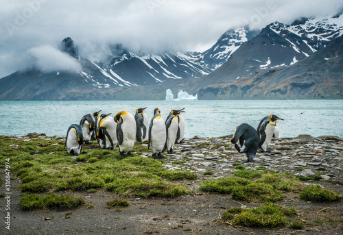 Antarctica