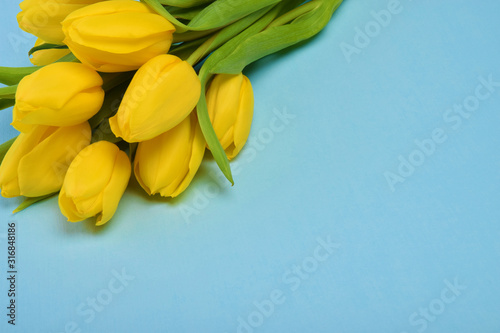 bouquet of yellow tulip flowers on blue background