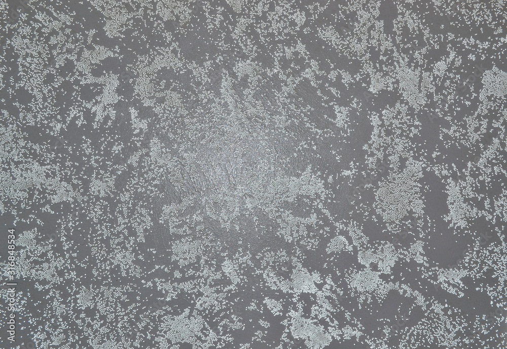 Fototapeta premium background textured design stone smoll