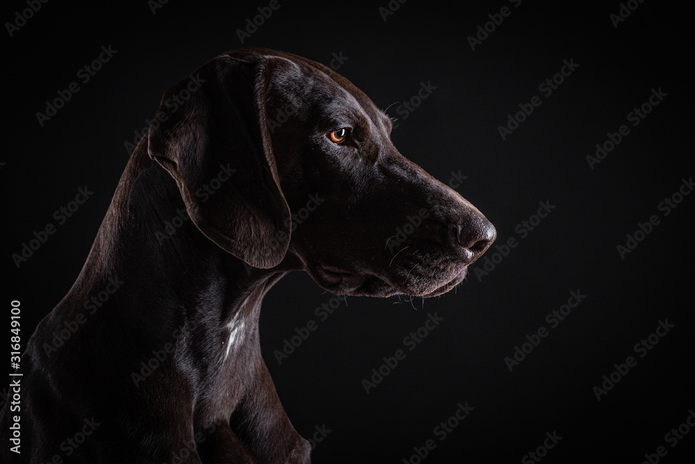 Pointer and black background 