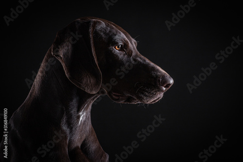 Pointer and black background 