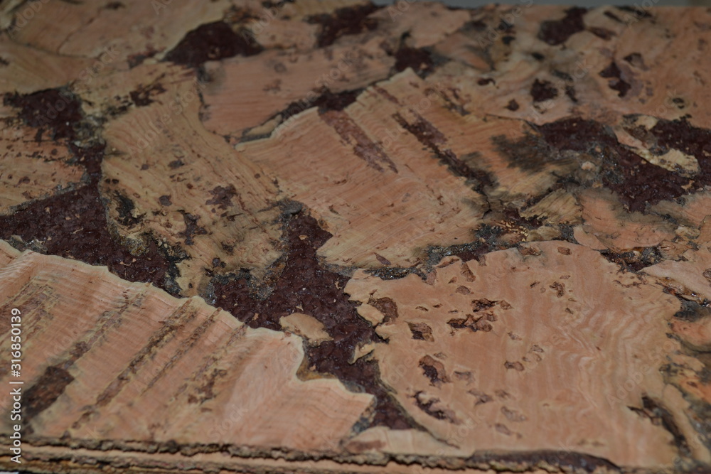 Fototapeta premium background textured design corc color