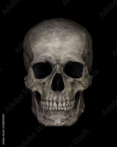 Human Skull Isolated on black photo