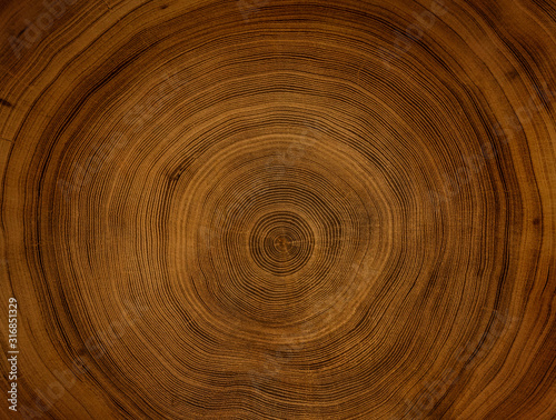 Old wooden oak tree cut surface. Detailed warm dark brown and orange tones of a felled tree trunk or stump. Rough organic texture of tree rings with close up of end grain.