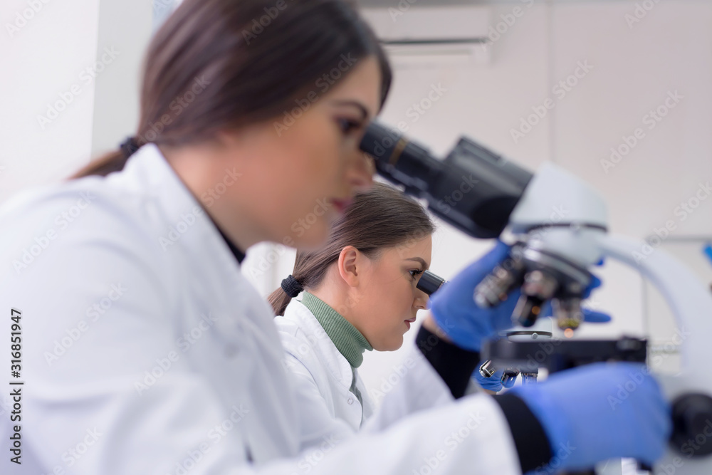 Group of Laboratory scientists working at lab with test tubes, test or research in clinical laboratory.Science, chemistry, biology, medicine and people concept. Group of Laboratory scientists working at lab with test tubes, test or research in clinical laboratory.Science, chemistry, biology, medicine and people concept.