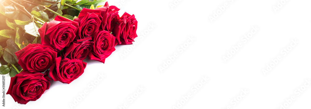 Bouquet of red roses on a white background for Valentines day. Isolated on white.