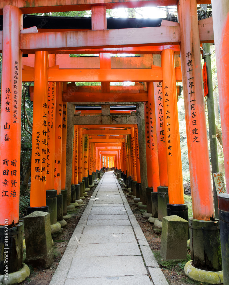 Fushimi Inari Shrine in southern Kyoto, famous for its thousands of vermilion torii gates Fushimi Inari Shrine in southern Kyoto, famous for its thousands of vermilion torii gates