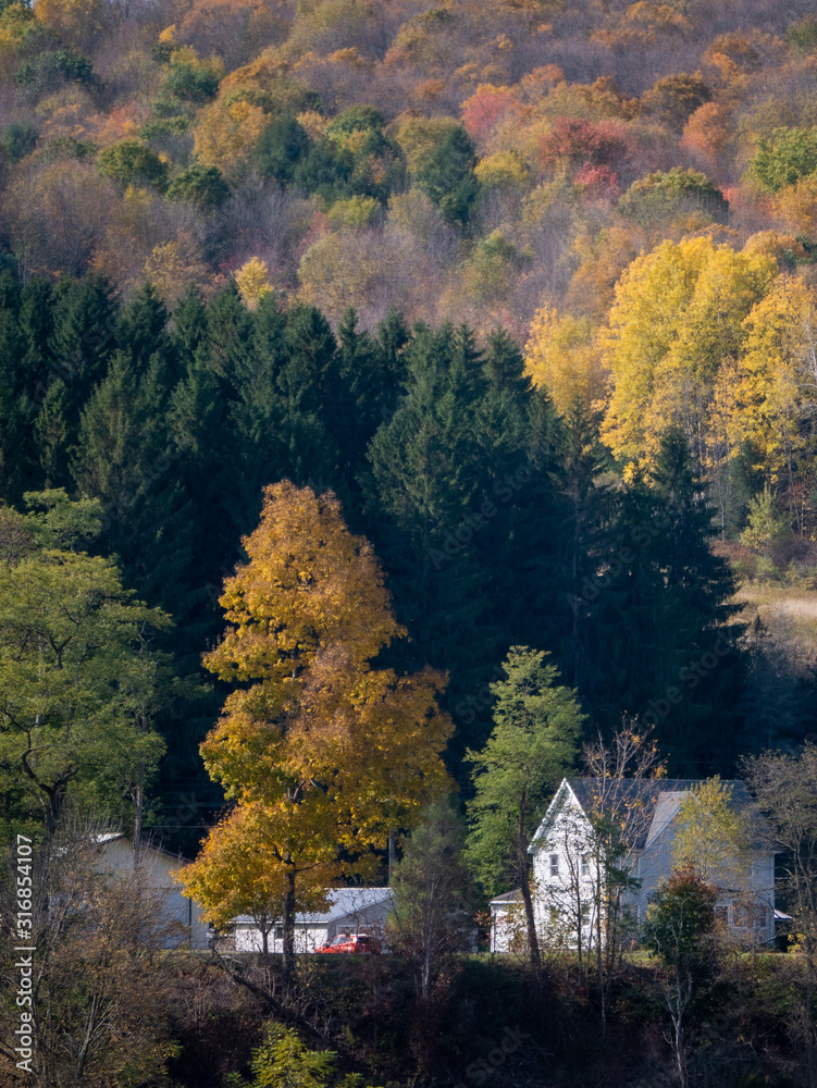 Obraz premium autumn in the country