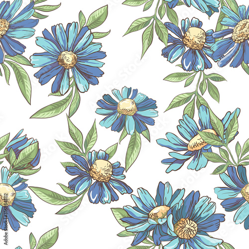 Seamless pattern with blue camomile on white background