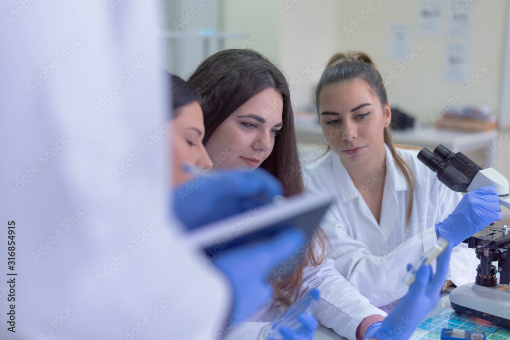 Group of Laboratory scientists working at lab with test tubes, test or research in clinical laboratory.Science, chemistry, biology, medicine and people concept. Group of Laboratory scientists working at lab with test tubes, test or research in clinical laboratory.Science, chemistry, biology, medicine and people concept.
