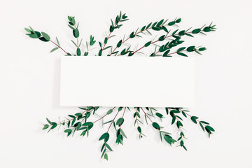 Modern composition of eucalyptus. Pattern made of eucalyptus branches and leaves on white background. Flat lay, top view, copy space