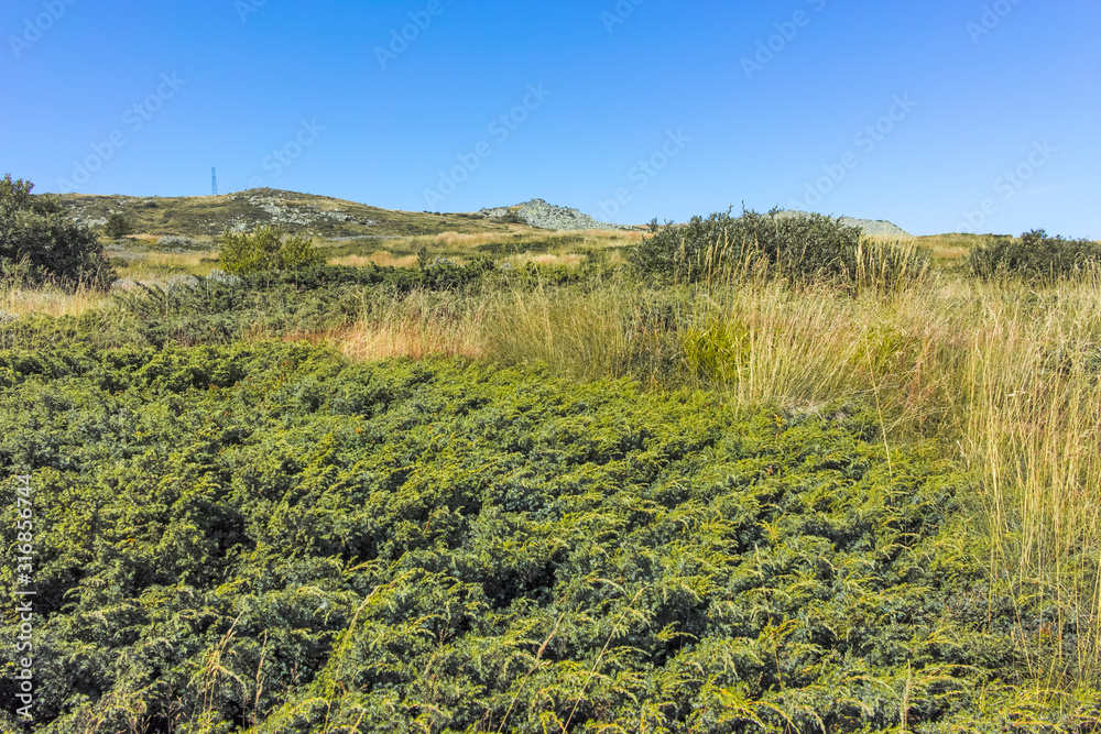 Autumn landscape of Vitosha Mountain, Bulgaria Autumn landscape of Vitosha Mountain, Bulgaria