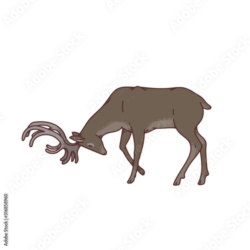 Wild dark deer male buck with branched horns attack butt view profile vector outline sketch illustration isolated on white background.