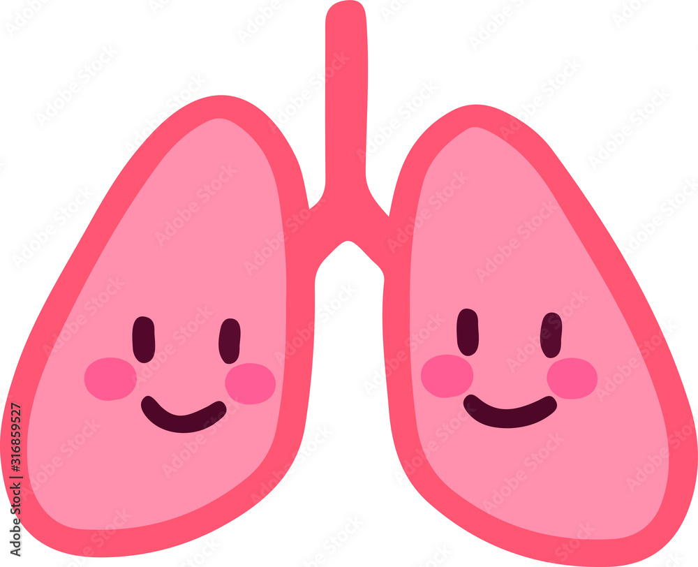 Illustration of cute simplified lungs Illustration of cute simplified lungs