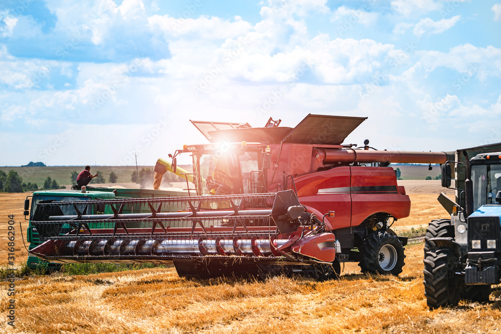 Red harvester working on corn field in autumn season. Agricultural concept Red harvester working on corn field in autumn season. Agricultural concept