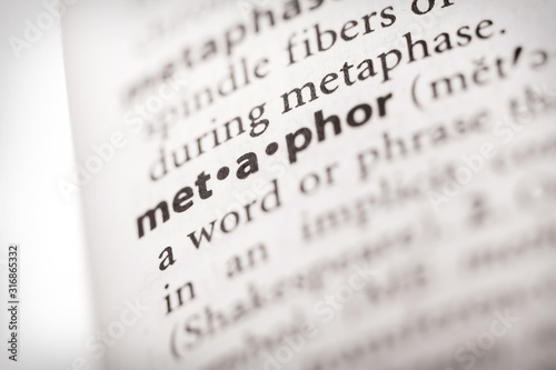Dictionary Series - Metaphor