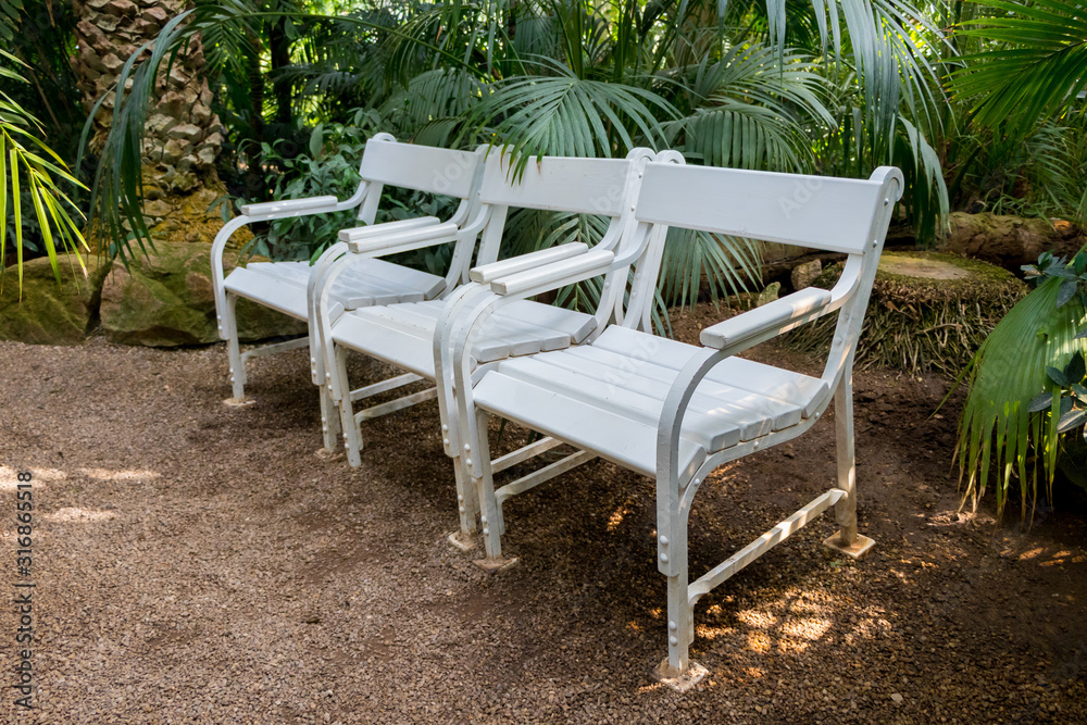Three white chairs surrounded by palm trees in botanical garden in Vienna, Austria