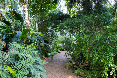 Photography Path through the botanical garden in Vienna Palmenhaus with a tropical plants an
