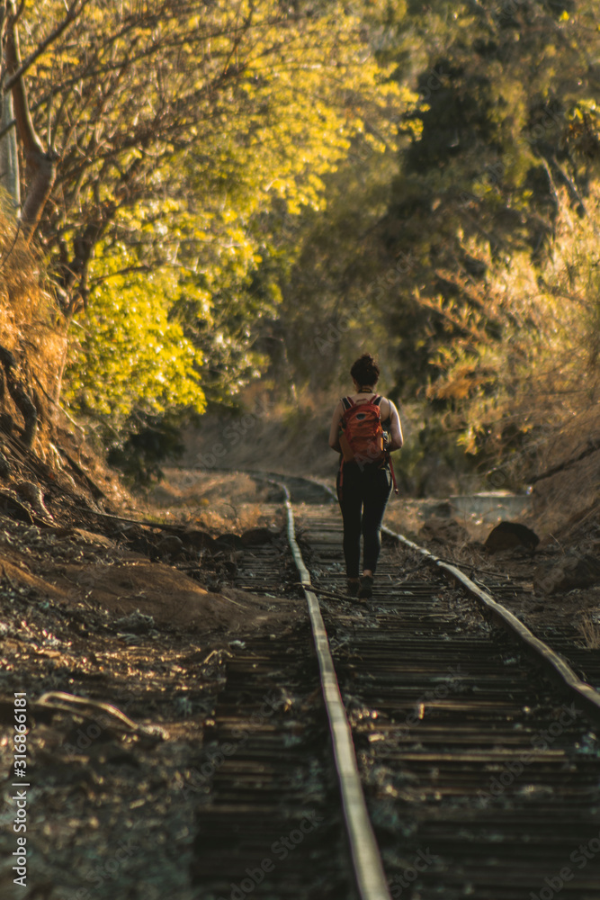 Naklejka premium Lineas del ten en otoño
