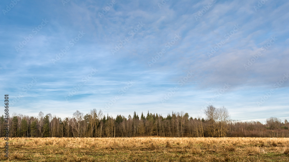 blue cloudy sky with clouds, an autumn forest without foliage is located on the horizon, a field with dry grass. Autumn landscape blue cloudy sky with clouds, an autumn forest without foliage is located on the horizon, a field with dry grass. Autumn landscape