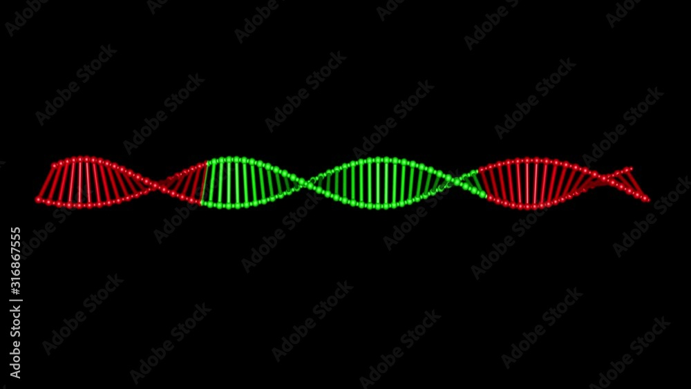 DNA editing , repair, engineering. Insertion of individual segments , editing , rewriting dna. 3d animation rendering . CRISPR biotechnology theme . Isolated with black and white alpha matte DNA editing , repair, engineering. Insertion of individual segments , editing , rewriting dna. 3d animation rendering . CRISPR biotechnology theme . Isolated with black and white alpha matte