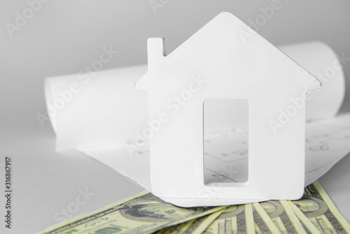 Figure of house with dollar...