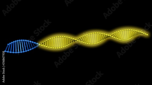 DNA editing , repair, engineering. Insertion of individual segments , editing , rewriting dna. 3d animation rendering . CRISPR biotechnology theme photo