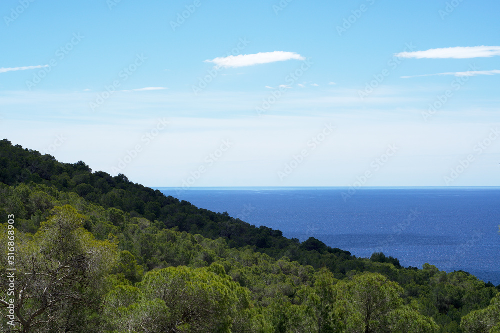 Sea coast with trees and cloudy sky. Ibiza island, Cala Roja, Spain