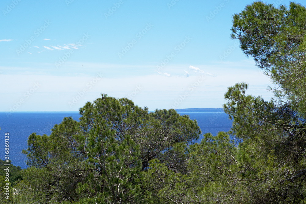 Sea coast with trees and cloudy sky. Ibiza island, Cala Roja, Spain