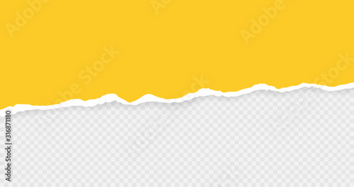 Ripped squared horizontal paper strips for text or message. Torn paper edge. Torn paper stripes. Vector illustration