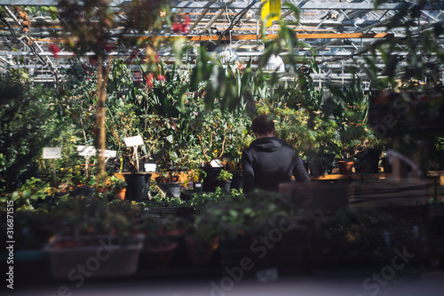 Young woman florist replants plants in a greenhouse of a botanical garden