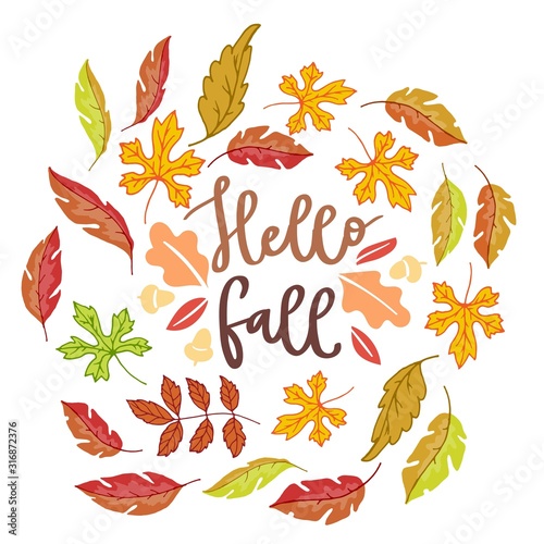 Hello fall autumn poster with bright autumn birch, elm, oak, rowan and maple leaves isolated on white background vector illustration. Falling cartoon colorful fall leaves poster.