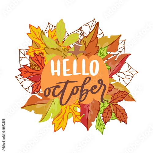 Hello october banner with bright autumn birch, elm, oak, rowan and maple leaves with lettering vector illustration. Autumn cartoon colorful leaves poster.