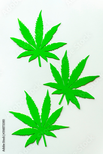 Green leaf of cannabis. Cannabis medical products isolated on white. CBD. Medical marijuana concept.