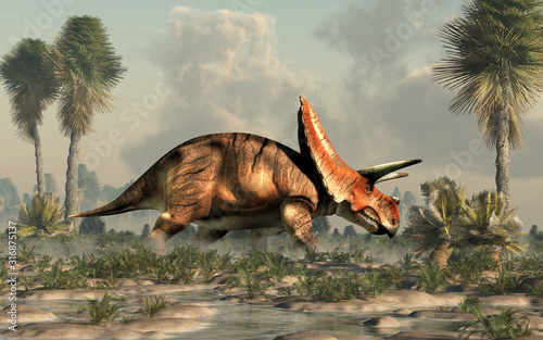 Torosaurus was ceratopsian dinosaur that was a frilled and horned, four legged animal. It lived during the cretaceous period. In a watery lowland. 3D Rendering © Daniel Eskridge