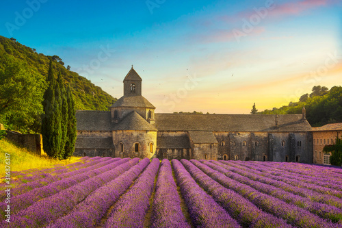 Abbey of Senanque blooming lavender flowers panoramic view. Gordes, Luberon, Provence, France. photo
