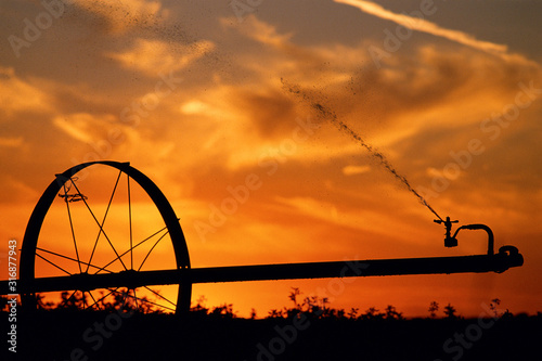 Bild auf Leinwand Sprinkler system at sunset