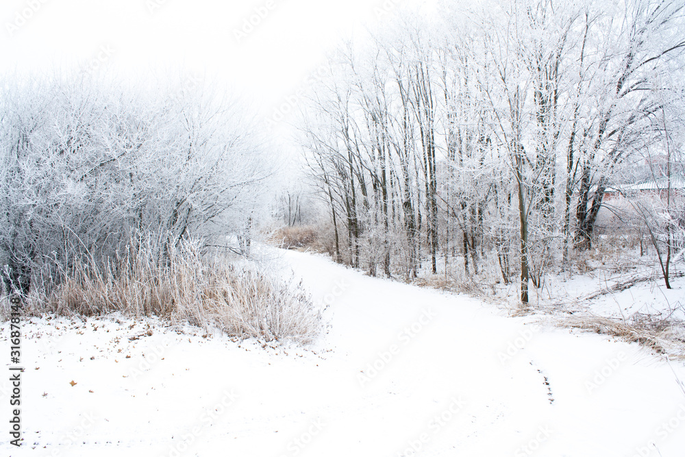 Snow covered trail winter wonderland Snow covered trail winter wonderland