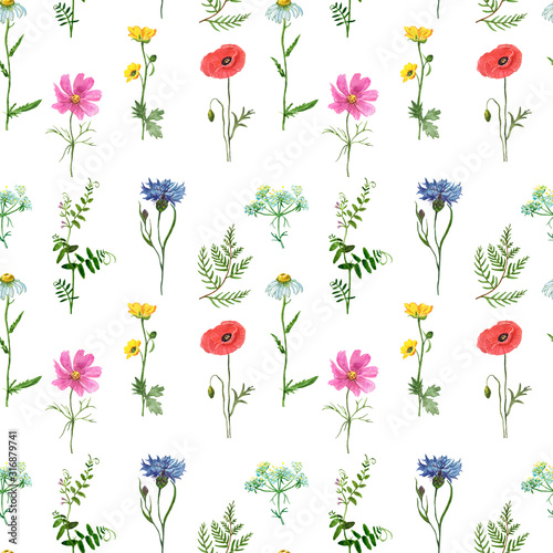 Watercolor wild flowers seamless pattern. Hand painted meadow flowers on whit...