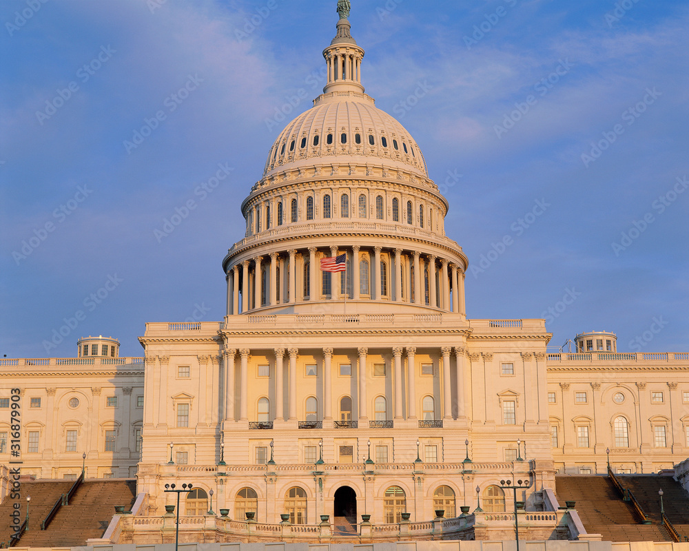 Obraz premium Capitol Building
