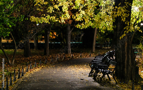 Peaceful walk in the park during the night © Laurentiu