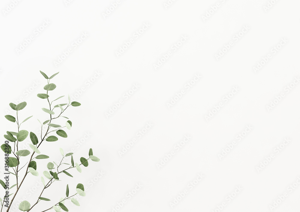 Interior wall mockup decorated with plant branch with green leaves in the left corner on empty white background. 3D rendering, illustration.