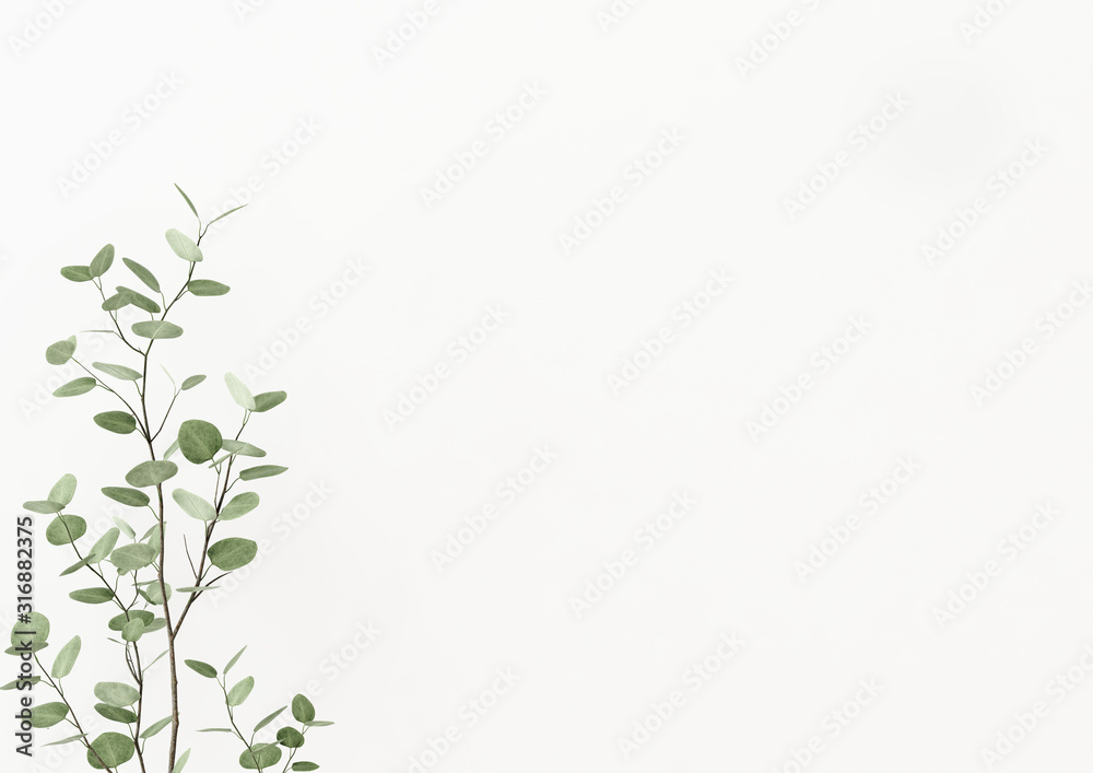 Plant branch with green leaves on empty white wall background. 3D rendering, illustration.