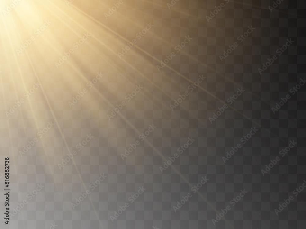 Vector transparent sunlight special lens flash light effect.front sun lens flash. Vector blur in the light of radiance. 