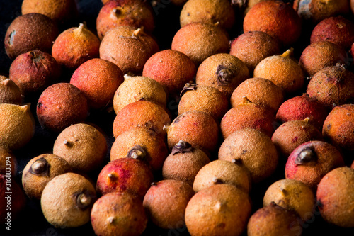 Corozo tropical fruit  photo