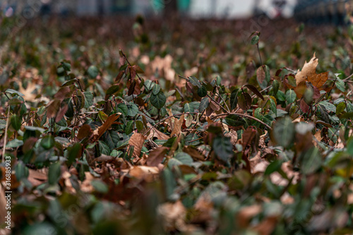 New york city in the winter